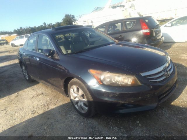 HONDA ACCORD SDN 2010 5kbcp3f85ab007585