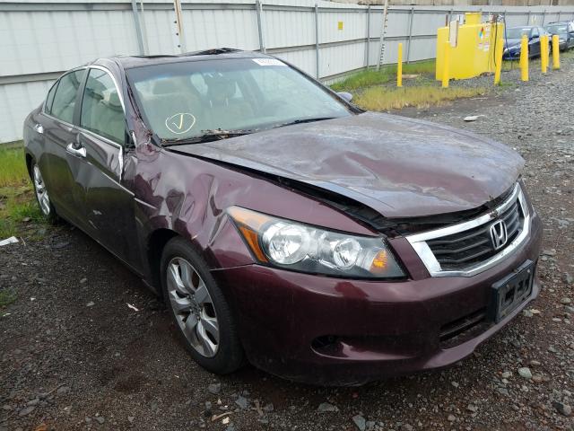 HONDA ACCORD EXL 2010 5kbcp3f85ab010924