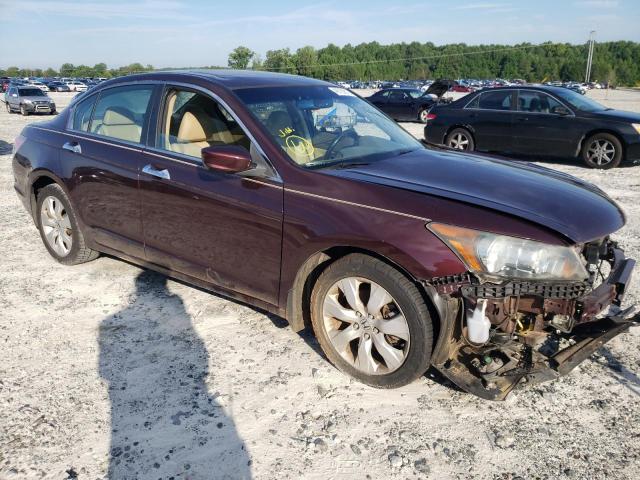 HONDA ACCORD EXL 2010 5kbcp3f85ab015315