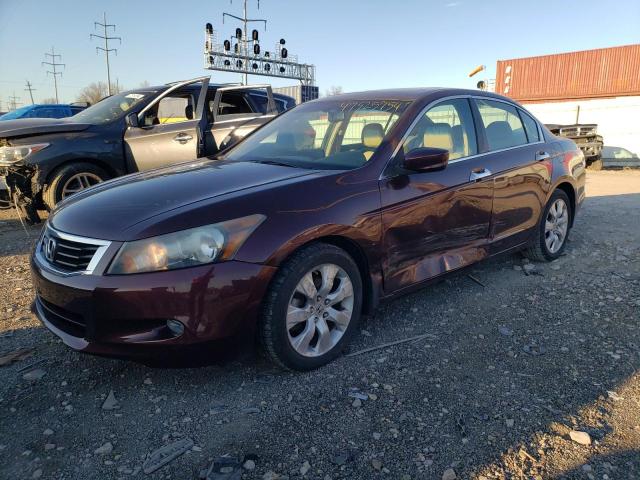 HONDA ACCORD 2010 5kbcp3f85ab018036