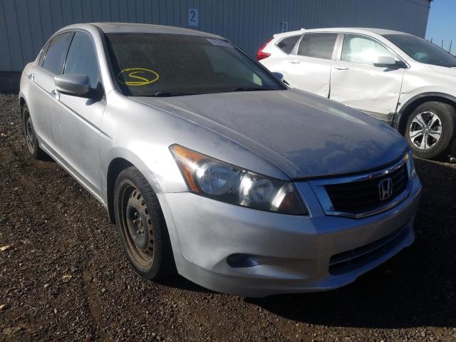 HONDA ACCORD EXL 2010 5kbcp3f85ab501459