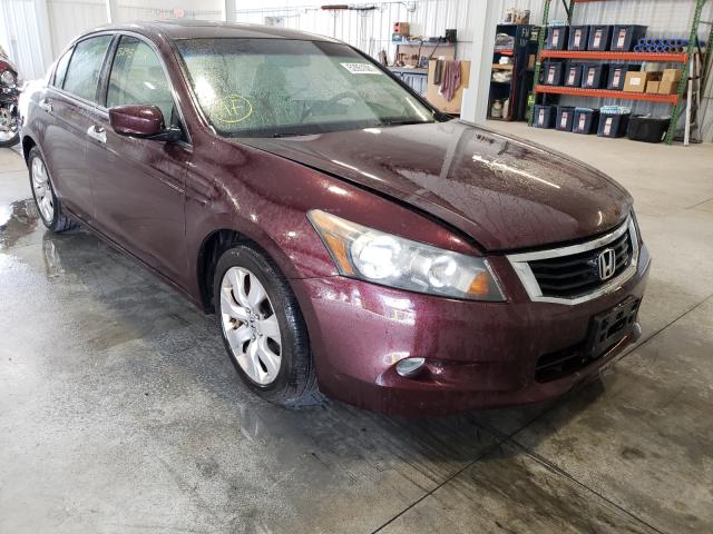 HONDA ACCORD EXL 2010 5kbcp3f86ab004176