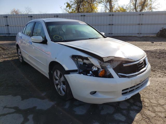 HONDA ACCORD EXL 2010 5kbcp3f86ab004274