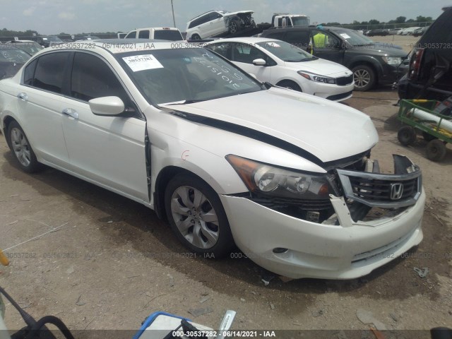 HONDA ACCORD SDN 2010 5kbcp3f86ab004534