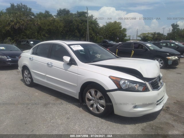 HONDA ACCORD SDN 2010 5kbcp3f86ab009068