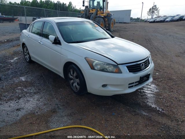 HONDA ACCORD 2010 5kbcp3f86ab010897