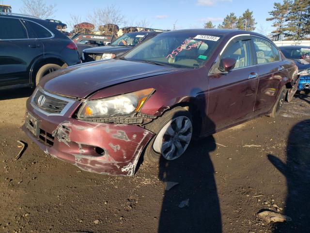 HONDA ACCORD 2010 5kbcp3f86ab012374