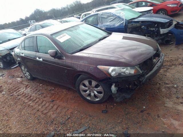 HONDA ACCORD SDN 2010 5kbcp3f86ab014710