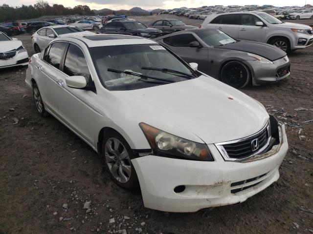 HONDA ACCORD EXL 2010 5kbcp3f86ab014965