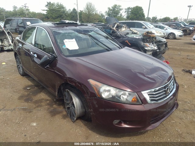 HONDA ACCORD SDN 2010 5kbcp3f86ab017459