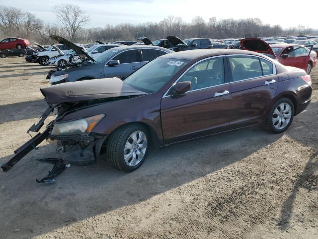 HONDA ACCORD 2010 5kbcp3f86ab018708