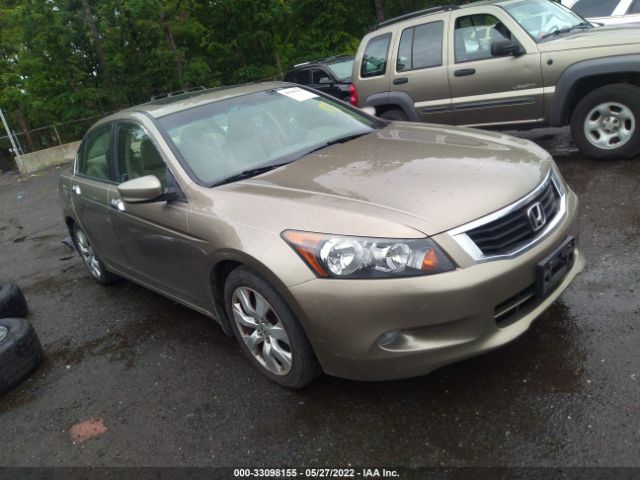 HONDA ACCORD SDN 2010 5kbcp3f87ab001223