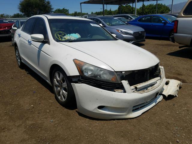 HONDA ACCORD EXL 2010 5kbcp3f87ab003506