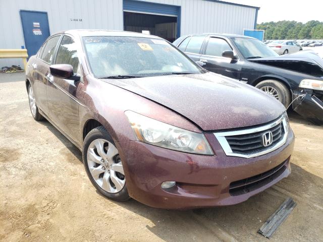 HONDA ACCORD EXL 2010 5kbcp3f87ab009497