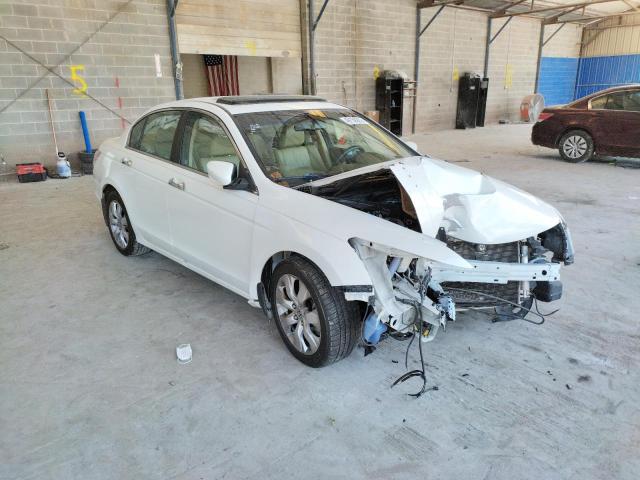 HONDA ACCORD EXL 2010 5kbcp3f87ab009659