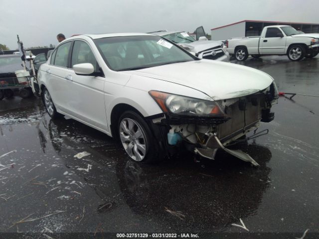 HONDA ACCORD SDN 2010 5kbcp3f87ab010908