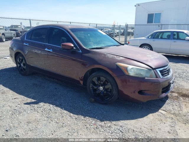 HONDA ACCORD 2010 5kbcp3f87ab012867