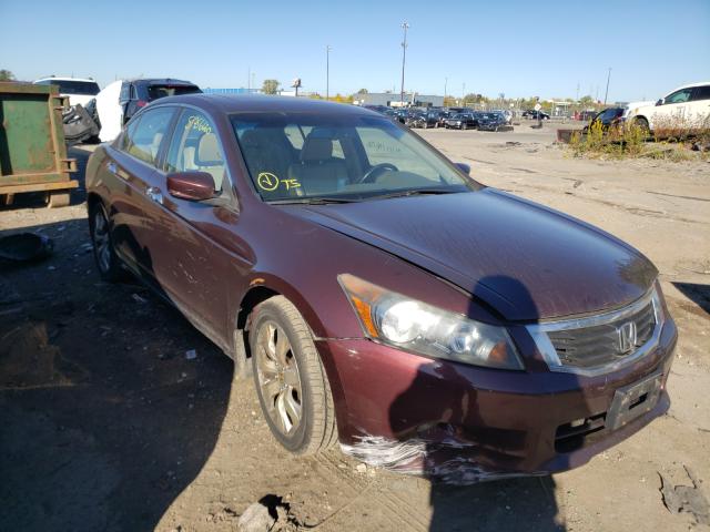 HONDA ACCORD EXL 2010 5kbcp3f87ab014165