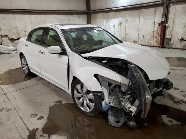 HONDA ACCORD EXL 2010 5kbcp3f87ab014599