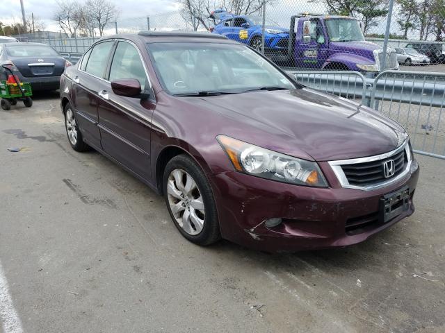 HONDA ACCORD EXL 2010 5kbcp3f87ab015137