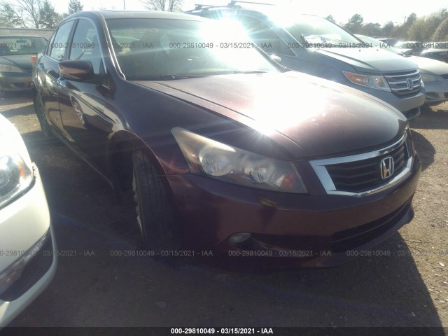 HONDA ACCORD SDN 2010 5kbcp3f87ab016062