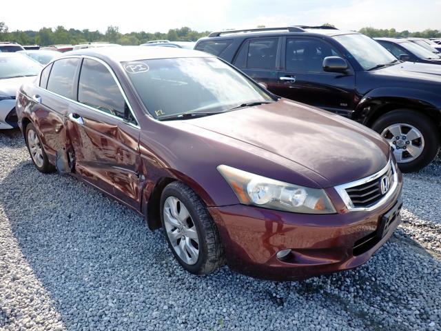 HONDA ACCORD EXL 2010 5kbcp3f87ab016207