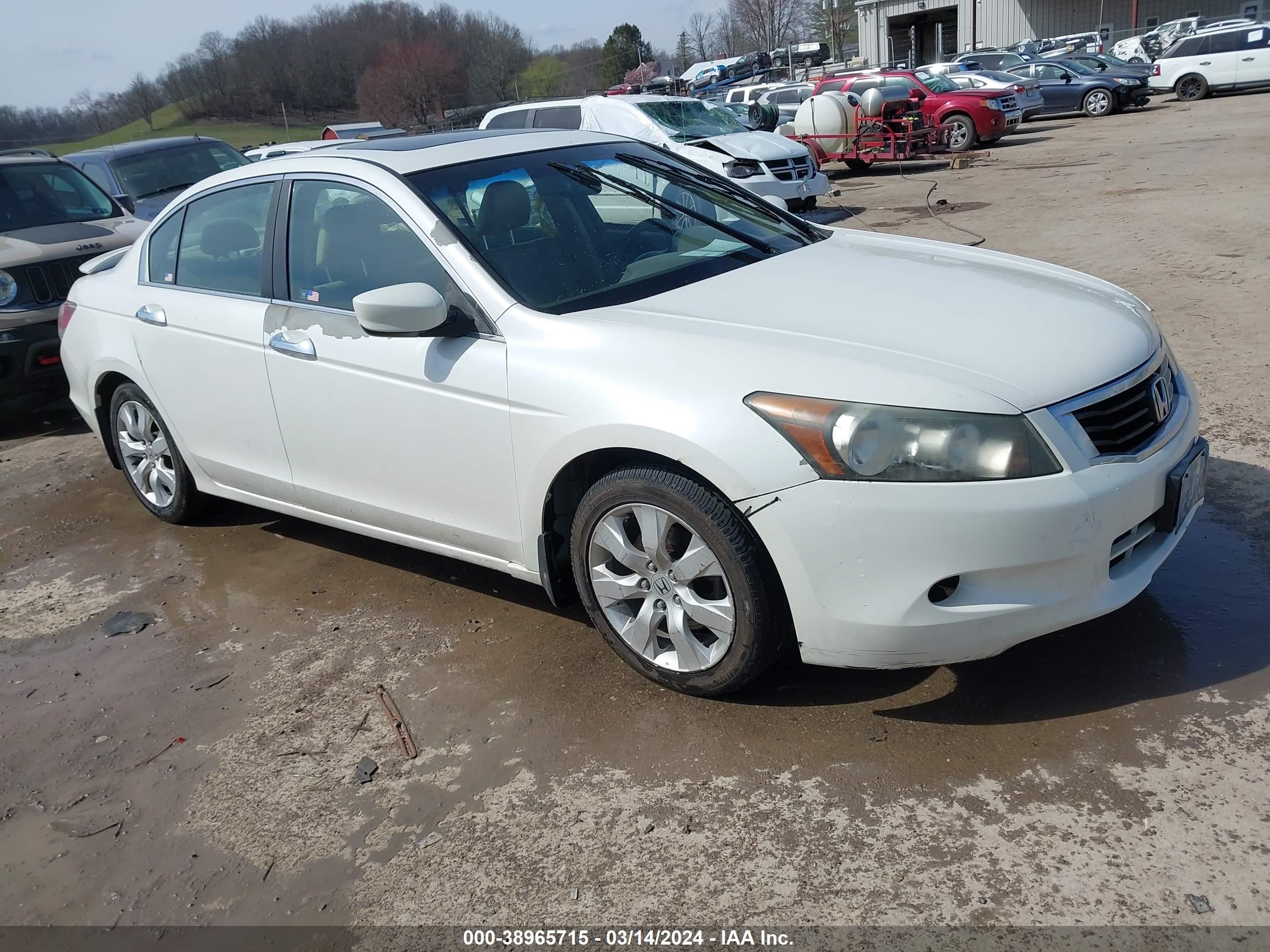 HONDA ACCORD 2010 5kbcp3f87ab016546