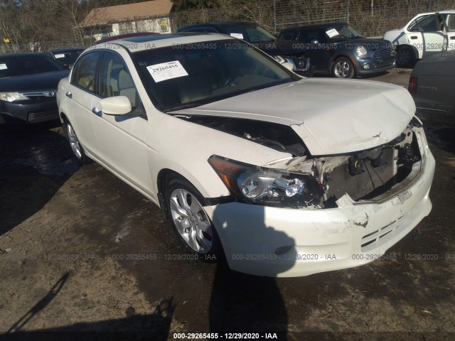 HONDA ACCORD SDN 2010 5kbcp3f87ab016594