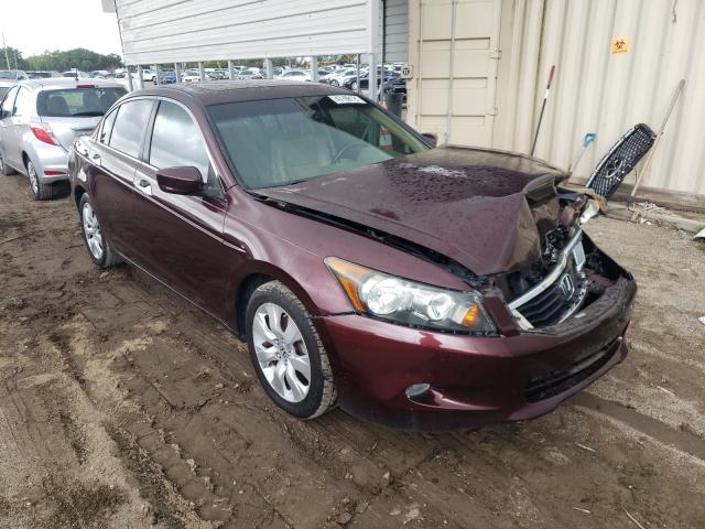 HONDA ACCORD EXL 2010 5kbcp3f87ab016756