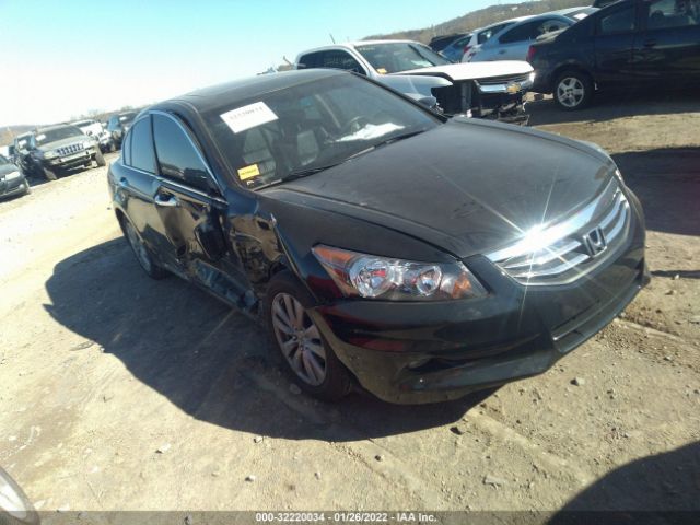 HONDA ACCORD SDN 2011 5kbcp3f87bb001224