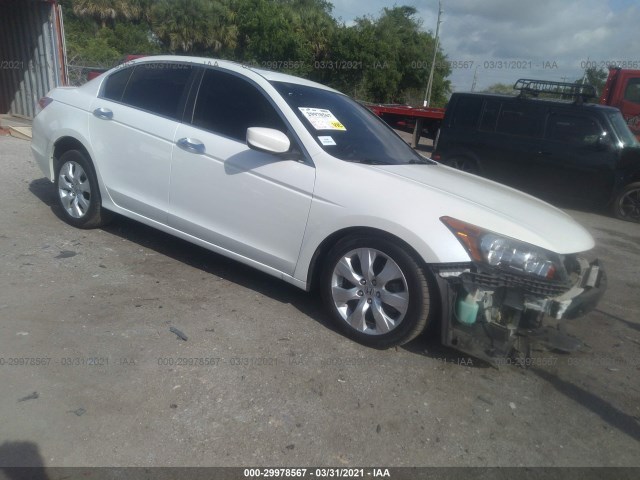 HONDA ACCORD SDN 2010 5kbcp3f88ab001098