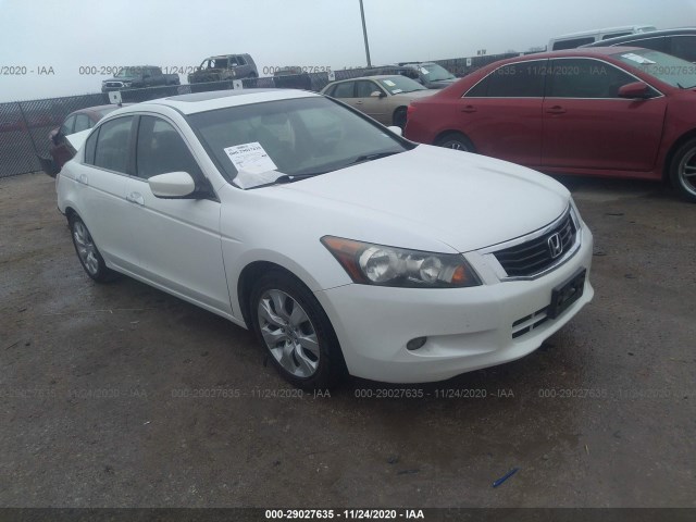 HONDA ACCORD SDN 2010 5kbcp3f88ab001568