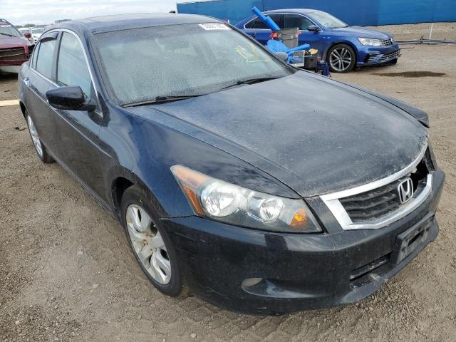 HONDA ACCORD EXL 2010 5kbcp3f88ab002445