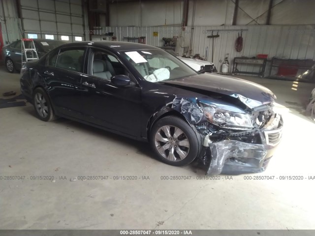 HONDA ACCORD SDN 2010 5kbcp3f88ab006690