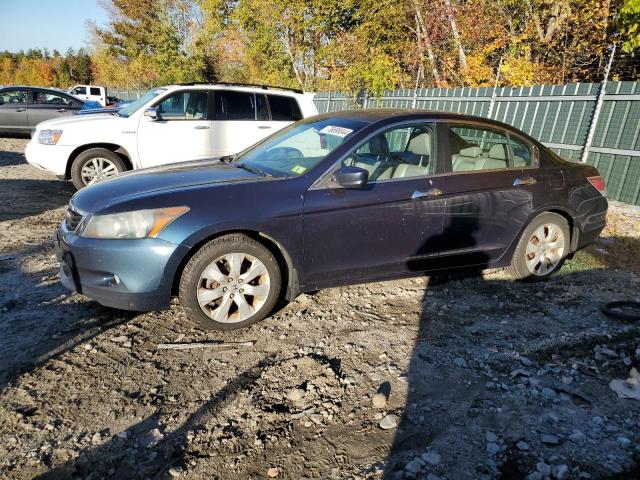 HONDA ACCORD EXL 2010 5kbcp3f88ab006799