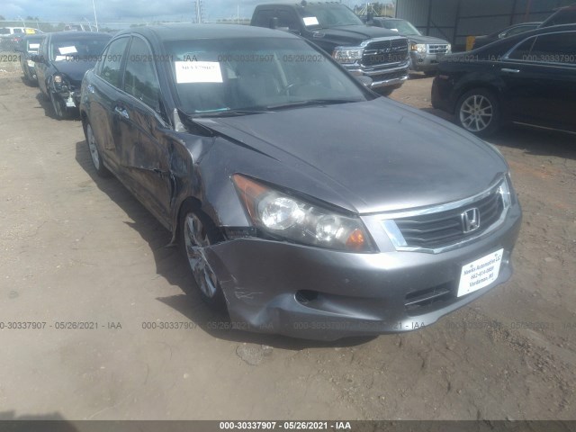 HONDA ACCORD SDN 2010 5kbcp3f88ab008892