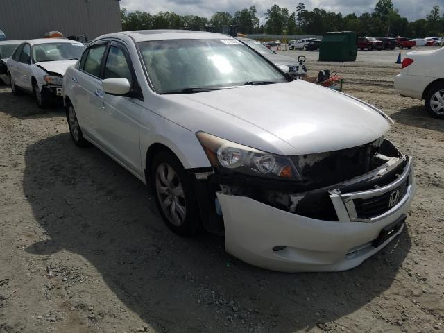 HONDA ACCORD EXL 2010 5kbcp3f88ab012828