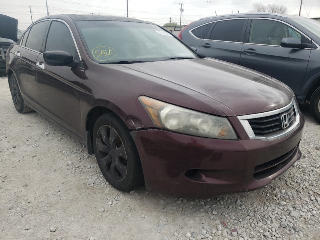 HONDA ACCORD EXL 2010 5kbcp3f88ab012926