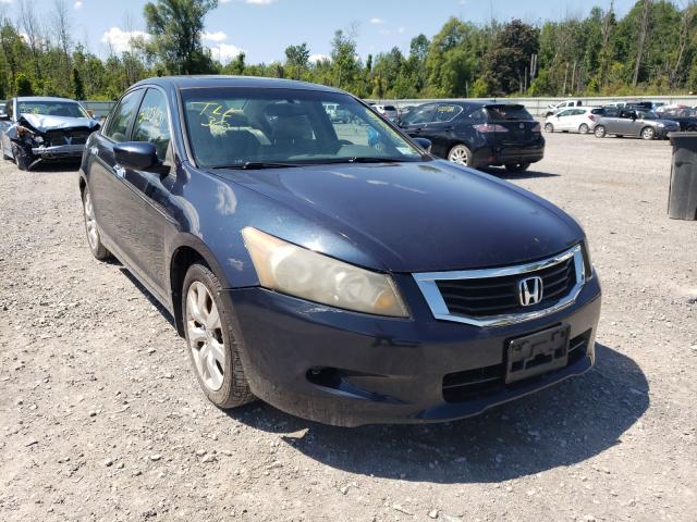 HONDA ACCORD EXL 2010 5kbcp3f88ab014238