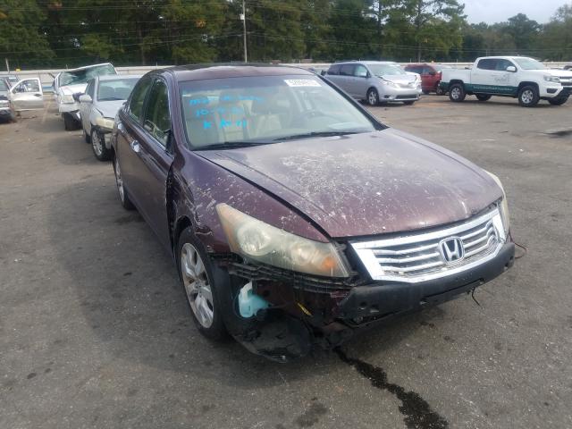 HONDA ACCORD EXL 2010 5kbcp3f88ab016099