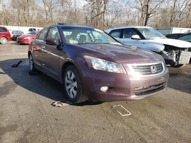 HONDA ACCORD EXL 2010 5kbcp3f88ab017415