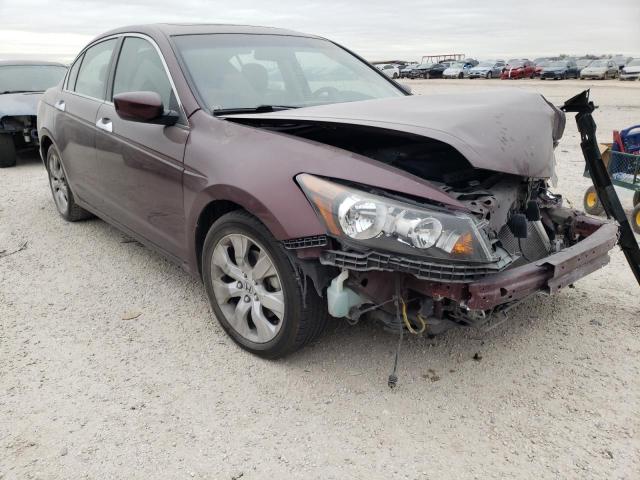 HONDA ACCORD EXL 2010 5kbcp3f88ab017544