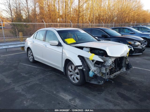 HONDA ACCORD 2010 5kbcp3f88ab017625