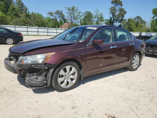 HONDA ACCORD 2010 5kbcp3f88ab018046