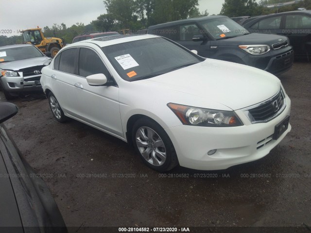 HONDA ACCORD SDN 2010 5kbcp3f88ab018905