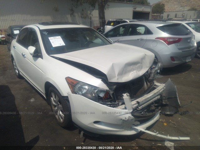 HONDA ACCORD SDN 2010 5kbcp3f88ab018967