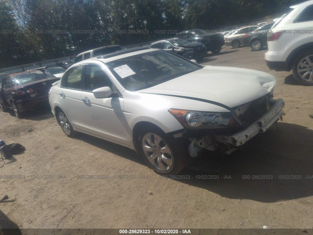 HONDA ACCORD SDN 2010 5kbcp3f89ab002227