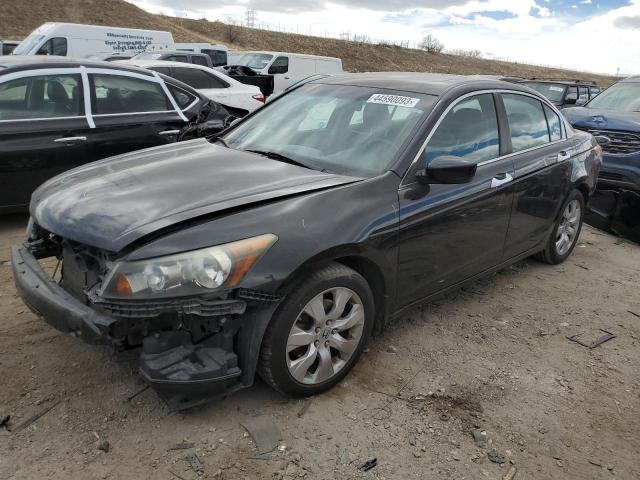 HONDA ACCORD EXL 2010 5kbcp3f89ab002955