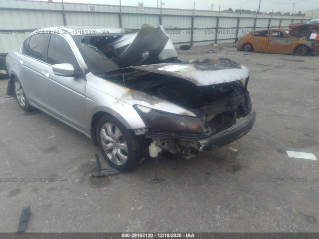 HONDA ACCORD SDN 2010 5kbcp3f89ab003426