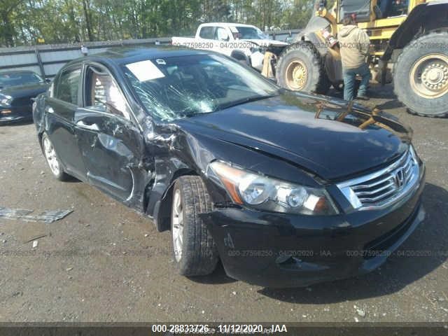 HONDA ACCORD SDN 2010 5kbcp3f89ab004558